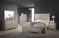 Beaumont Bedroom Set Metallic Champagne image