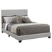 Dorian Upholstered California King Bed Grey image